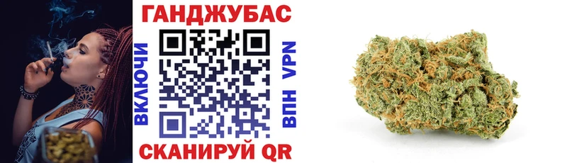 цена   Юрьевец  Бошки марихуана Amnesia 